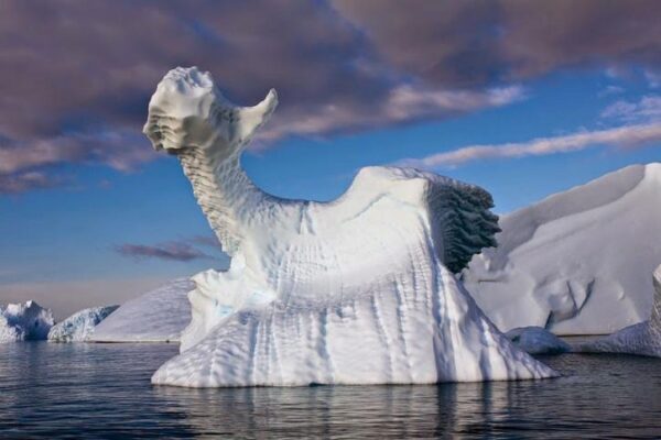 В водах Антарктиды учеными обнаружено странное существо с жуткой внешностью