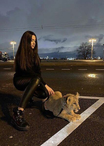 18-летняя дочь бизнесмена устроила фотосессию со львенком на фоне спецмашины ДПС