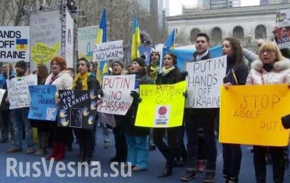 Добрались до Нью-Йорка: украинцы протестовали у здания ООН (+ФОТО, ВИДЕО)