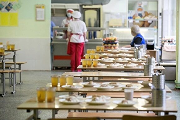 Дума Екатеринбурга после скандала с МУП «Золушка» будет проверять питание в школах