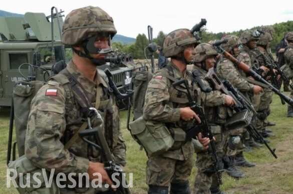 Это позор: новые конфузы войск НАТО, «запугивающих» Россию