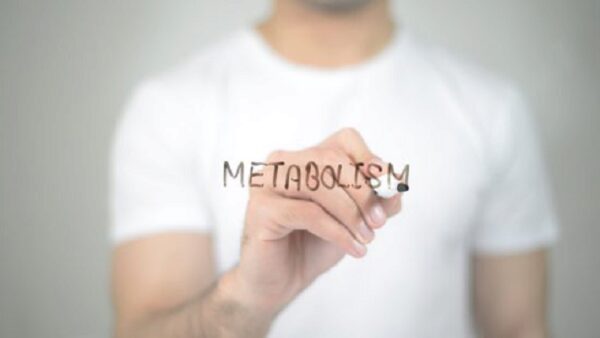 Как разогнать метаболизм и быстро похудеть: пять способов, которые реально работают, назвали специалисты