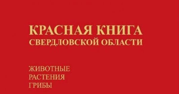 На Среднем Урале выйдет новая редакция Красной книги