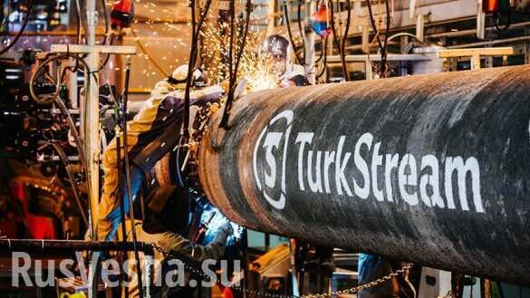 На Украине оценили последствия запуска «Турецкого потока»