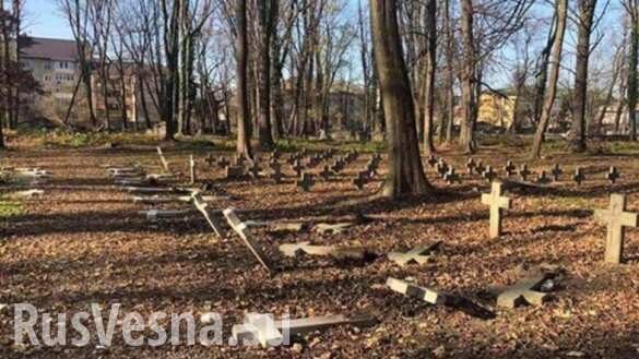 На Украине осквернили польское военное кладбище (ФОТО)