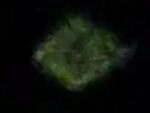 Над Японией замечен НЛО в виде ромба