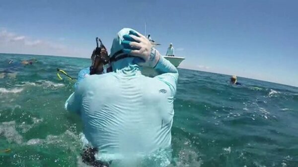 Нападение акулы на подводного охотника сняли на видео
