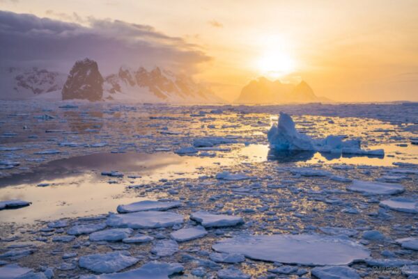 Неожиданное покрытие на поверхности Антарктиды обнаружили ученые