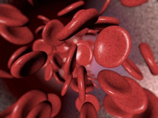 Почему падает уровень гемоглобина в крови, раскрыли медики