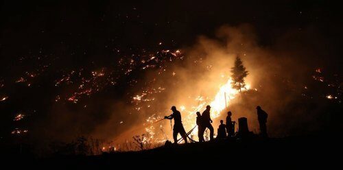 Пожары в Калифорнии стали самыми смертоносными за прошедшие 100 лет