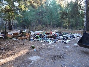 Только за неделю в лесах Зауралья нашли свалки мусора объемом более 57 тыс. кубометров