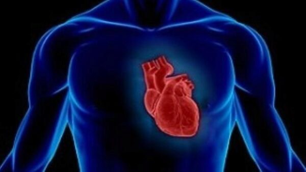В России прошли первые успешные испытания искусственного сердца