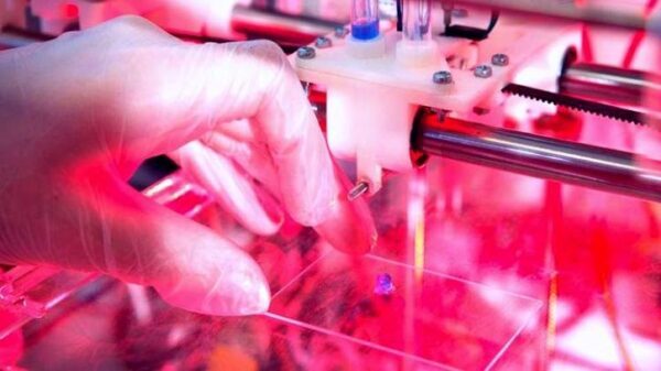 В Ростове учёные разработали 3D-технологию по восстановлению костной ткани