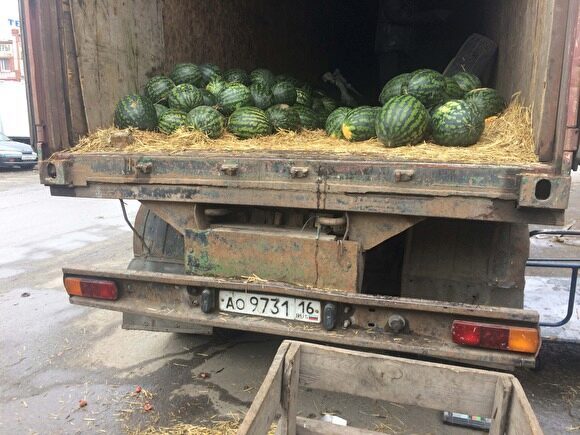 В Курган привезли арбузы из карантинной зоны Оренбургской области