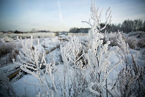 В Курганскую область идет настоящая зима: в регионе похолодает до минус 23 градусов