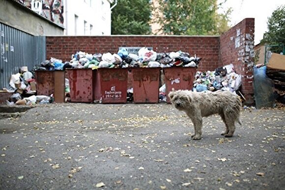 Жителей Челябинска просят сообщать о подозрительных людях на мусорных площадках