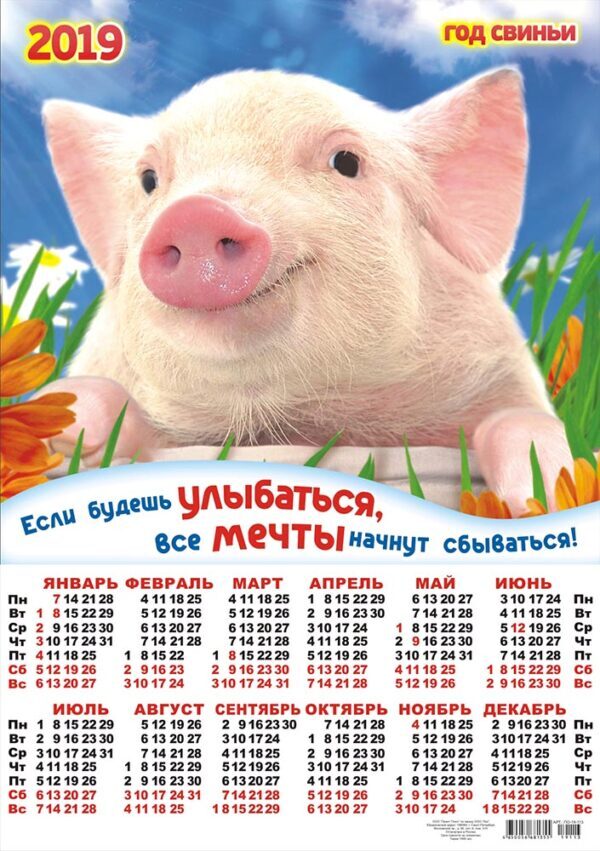 Год свиньи календарь годов