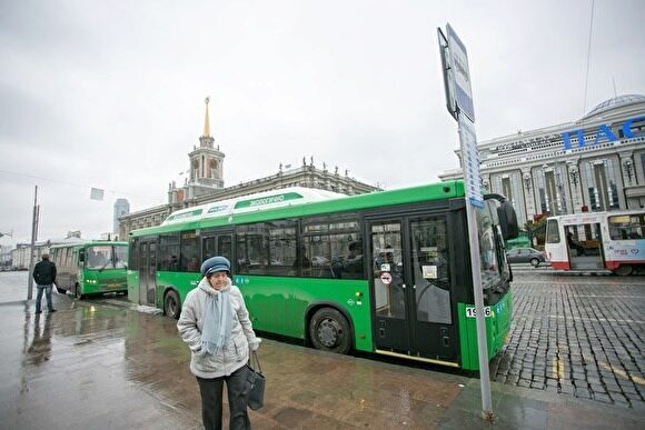 Мэрия Екатеринбурга: половина остановок не соответствует требованиям ГИБДД