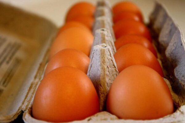 На рынках России без причины выросли в цене куриные яйца