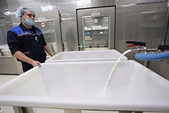 На одном из молочных заводов Курганской области выявлены нарушения законодательства