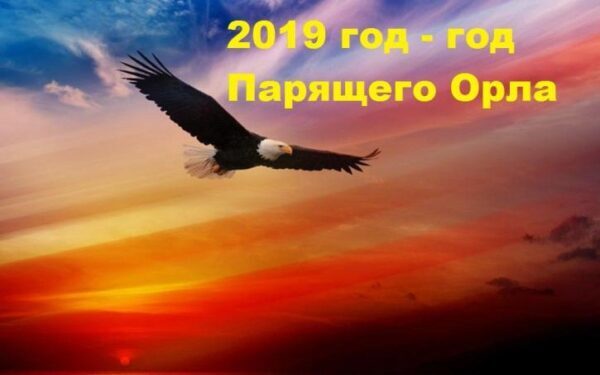 Новый 2019 год Парящего Орла по славянскому календарю: деньги, работа и карьера, любовь и отношения, здоровье, эмоции и настроение