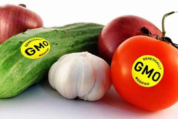 Продукты с ГМО начнут обозначать специальным знаком: знай «врага» в лицо