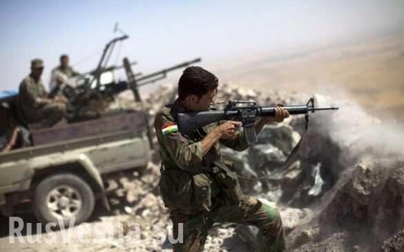 «Удар кинжала в спину», — курды в ярости из-за вывода войск США из Сирии