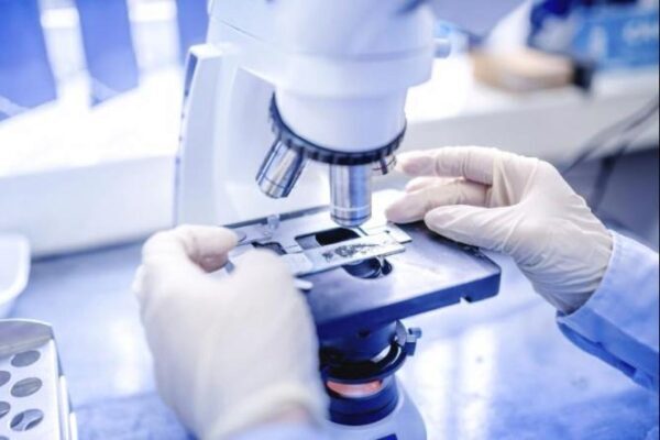 Уральские и британские ученые исследовали «коллективное поведение» наночастиц для борьбы с онкологией
