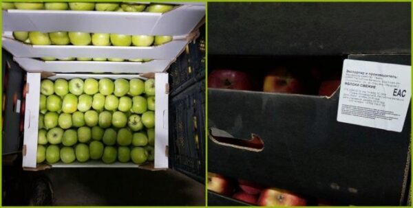 В Екатеринбурге уничтожили 1,8 тонн яблок неустановленного происхождения