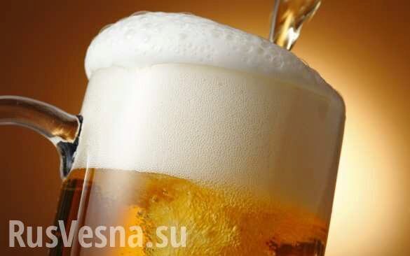В России изменится вкус пива, — СМИ