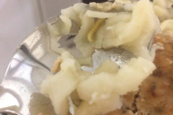 В Саратове в столовой детской больницы в еде обнаружены черви