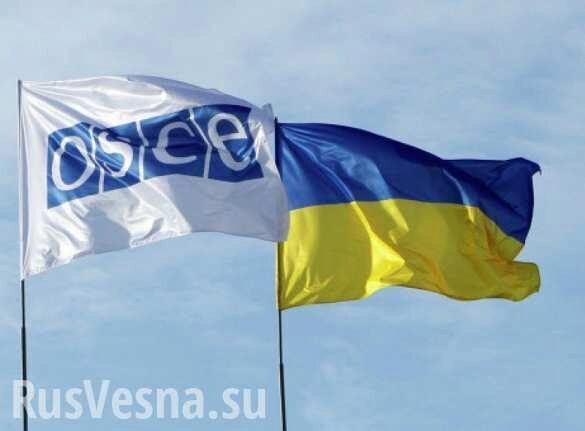 Зрада: В ОБСЕ заявили, что жители Украины не обязаны говорить на украинском языке
