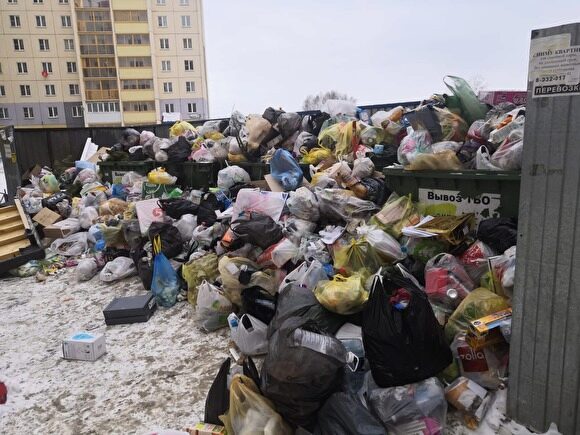 Активисты Красноярска отправляют посылки с мусором депутатам Госдумы и сенаторам