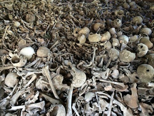 Археологи нашли три мешка костей на пляже Новозеландии