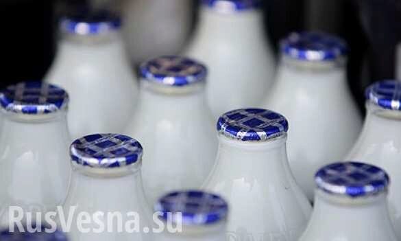 Цены на молоко могут вырасти на 10-15%