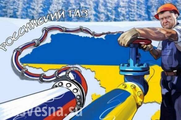 Депутат Рады рассказал о «большом провале» Украины из-за «Северного потока — 2»