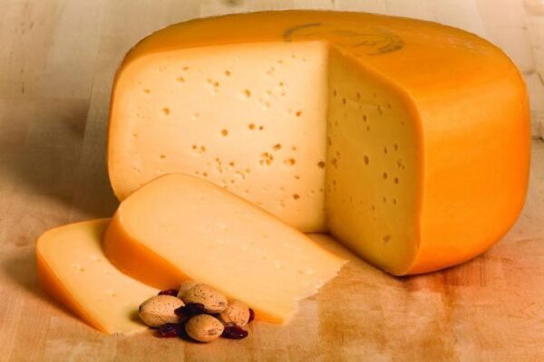 На Ставрополье начали производить сыр по голландским технологиям