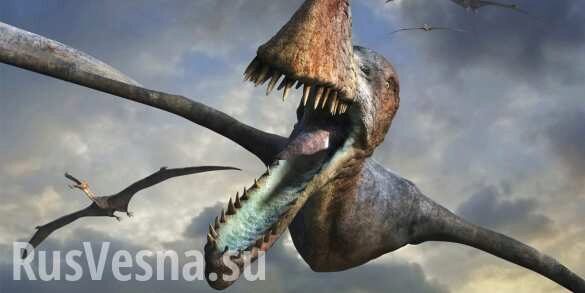 Обнаружен новый птерозавр юрского периода (ФОТО)