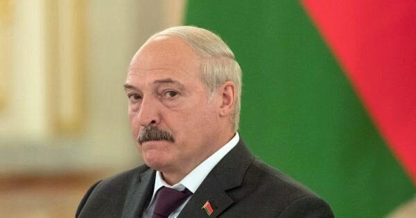 «Правый сектор»* пообещал помощь Лукашенко на случай противостояния с Россией