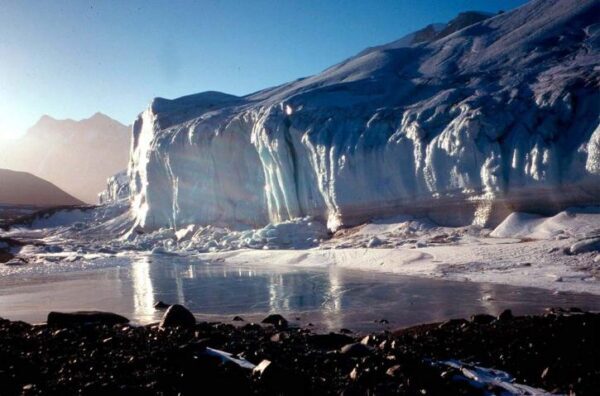 В Антарктиде обнаружены останки неизвестных существ, имеется еще одна загадка