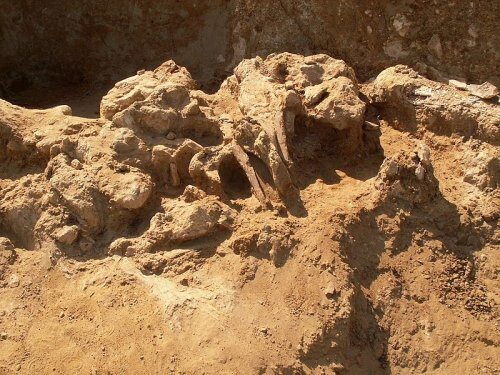 В Китае найдены останки древнего ребенка