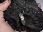 В куске угля обнаружили металлический гвоздь возрастом более 300 млн лет
