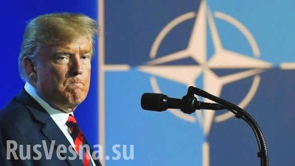 В США принят закон, запрещающий Трампу выход из НАТО