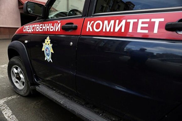 В Среднеуральске на 2-летнюю девочку напала собака. СКР начал проверку