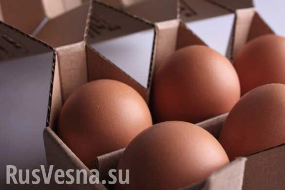 Яйца в России начали продавать девятками (ФОТО)