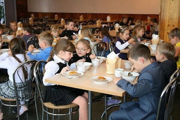 Детям из курганской школы, обнаружившим в супе «мясо со щупальцами», запретили телефоны в столовой