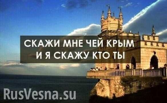 Крым среди ясного неба: делегация из Британии впервые посетит российский полуостров (ФОТО)