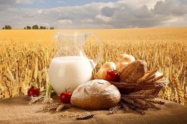 Молоко, гречка и хлеб подорожают выше уровня инфляции