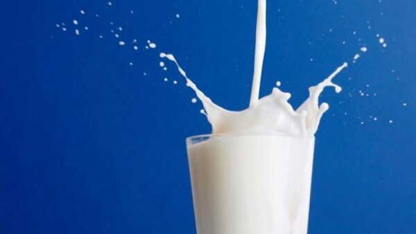 Ритейлеры предупредили о перебоях с поставками молока в магазины