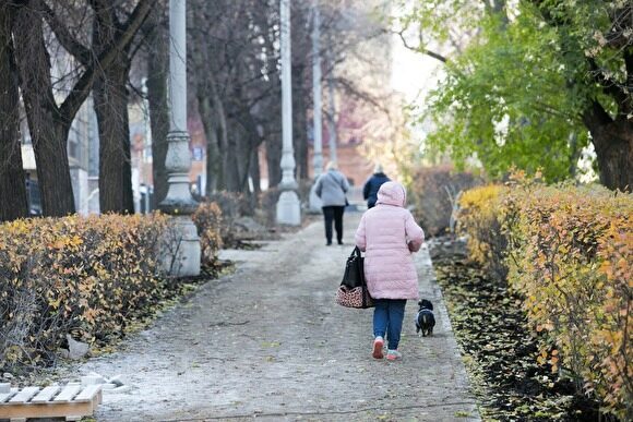 Скверы или набережная: мэрия Екатеринбурга объявила голосование за проекты благоустройства